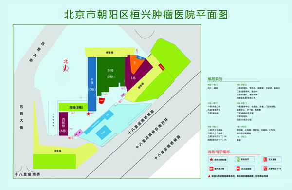 国产骚逼嗷嗷叫北京市朝阳区桓兴肿瘤医院平面图